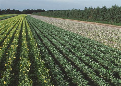 What Do Farmers Need To Know About Climate Change? Conservation