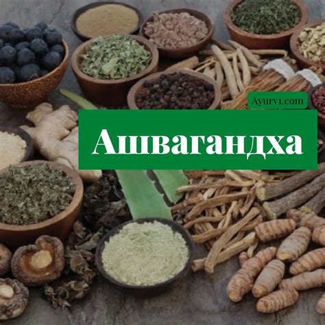 Магазин аюрведичних товарів Аюрведа Плюс - 🌿Ашвагандха Ashvagandha ...