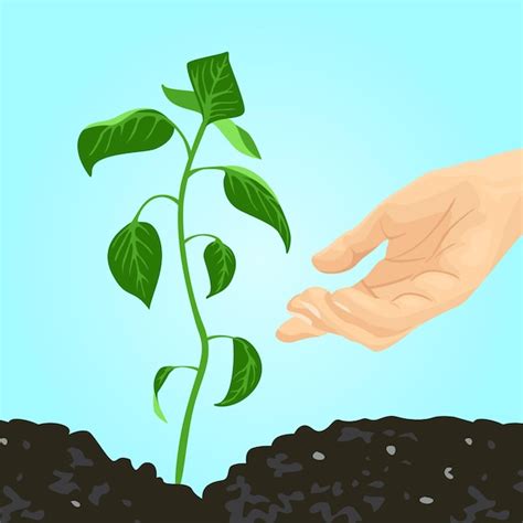 Premium Vector Growing Green Young Plant And Farmers Hand