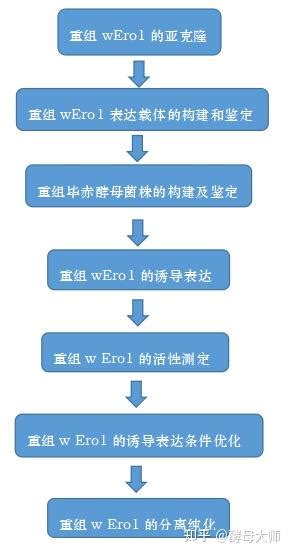 华南理工大学揭示小麦内质网氧化还原酶在毕赤酵母中的表达 知乎