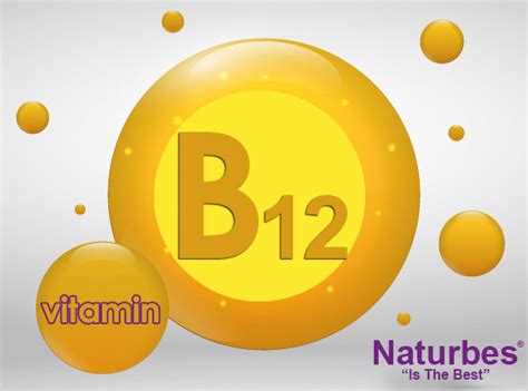 B12 Vitamini – NATURBES