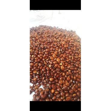 Jual Jengkol Tua Harga Per 500gr Shopee Indonesia