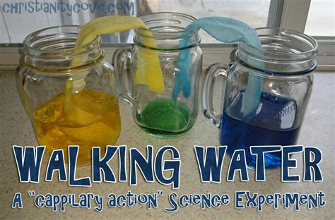 " Walking Water" - A Spring Bible Science Experiment - Christianity Cove