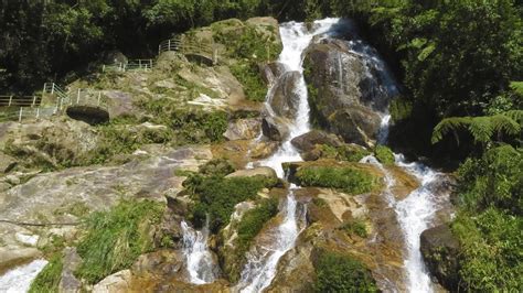 ZAMORA TIERRA DE AVES Y CASCADAS YouTube