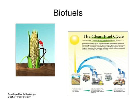 Ppt Biofuels Powerpoint Presentation Free Download Id6780914