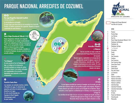 Introducir Imagen Cozumel Dive Map Abzlocal Mx