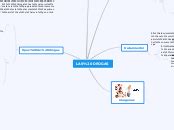 Herramientas De Productividad Mind Map