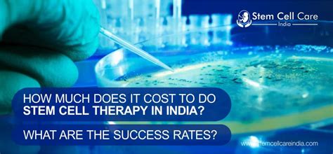 How Much Does It Cost To Do Stem Cell Therapy In India What Are The Success Rates Home