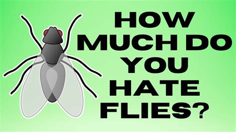 The Man Who Hates Flies The Most In History Youtube