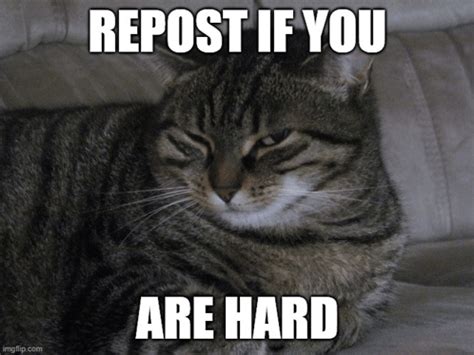 Horny Meme Horny Discover Share GIFs