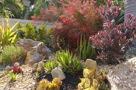 Complete Guide to Colorado Xeriscaping | Environmental Designs