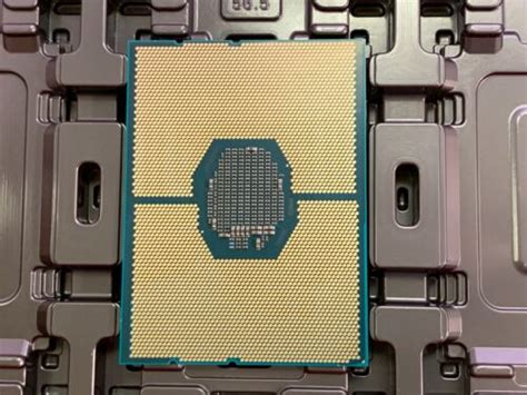 Intel Xeon Gold 6246 3.3GHz 24.75M 12 Core FCLGA3647 CPU PROCESSOR ...