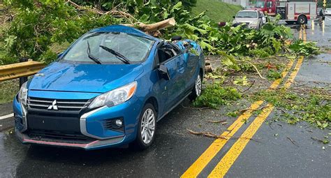 Caída de árbol deja mujer herida en Yabucoa Primera Hora