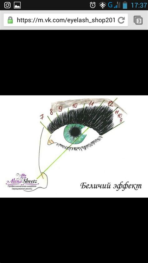 Схема наращивания ресниц | Eyelashes, Eyelash extensions, Lashes