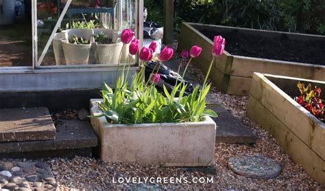 Creative Vintage Sink Planter Ideas (and How to Plant Them)