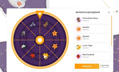 Star Pets Promo Code 2025 - Nicky Evangeline
