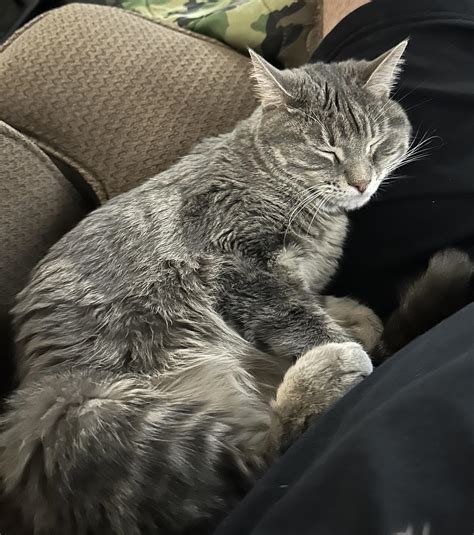 Users are amazed by how far am i calculations on mobile 5