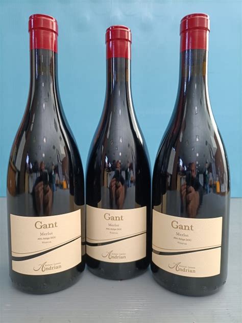 2019 Andrian Gant Merlot Riserva Trentino Alto Adige Doc Catawiki