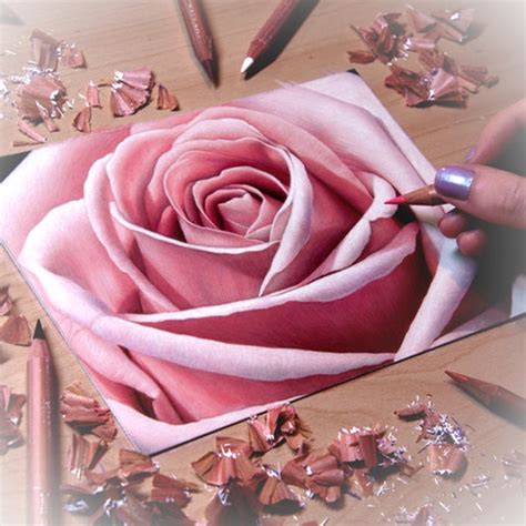 Realistic Pencil Colour Drawings Pencildrawing