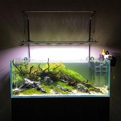 Aquascape Wood And Stone Aquascape Ideas