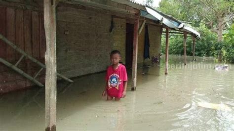 Dampak Luapan Sungai Bengawan Solo Meluas Desa Di Bojonegoro