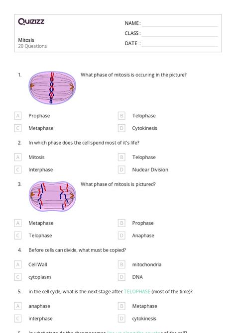 50 Chromosome Structure And Numbers Worksheets For 12th Class On