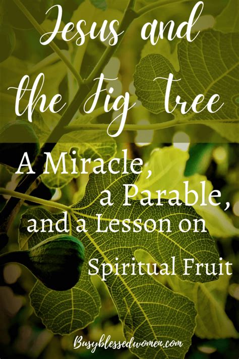 Why Did Jesus Curse The Fig Tree