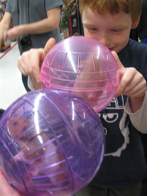 Emmy Scammahorn Blog • Hamster Ball Derby