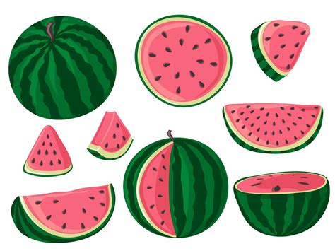 Set Of Watermelons Whole Half And Slices Green Striped Berry With