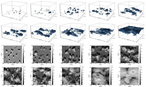 A Set Of Shallow Cumulus Cloud Scenes Used As Input For Radiative