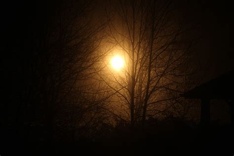 Bright Light Night - Free photo on Pixabay