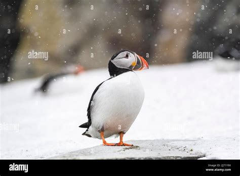 Varanger Hi Res Stock Photography And Images Alamy