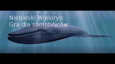 Gra Dla Samob Jc W Niebieski Wieloryb Jestemwielorybem Youtube