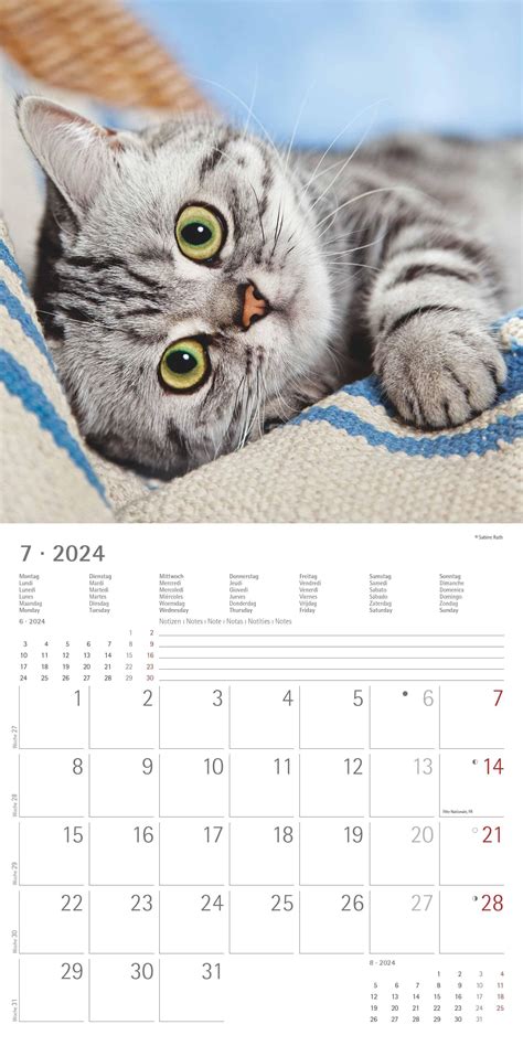 Katzen Brosch Renkalender X Cm X Ge Ffnet Kalender