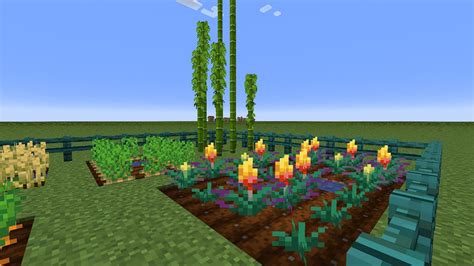 How Do Crops In Minecraft Grow Explained