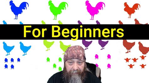 Breeding Chickens The Spiral Method Youtube