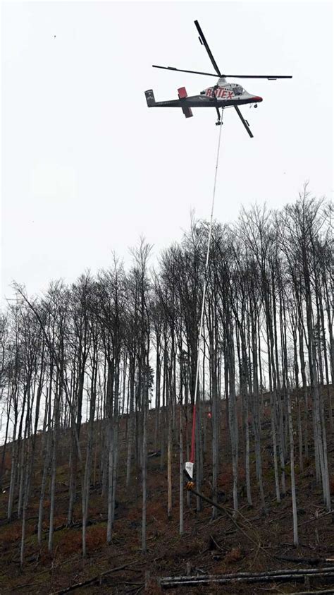 Ungl Ck Bei Holzf Llarbeiten Heli St Rzt Bei Buchenernte Ab