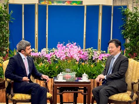 Abdullah Bin Zayed Meets Prime Minister Of Singapore Emirates News Agency