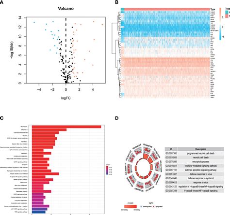 Frontiers A Novel Necroptosis Related LncRNA Signature For Predicting