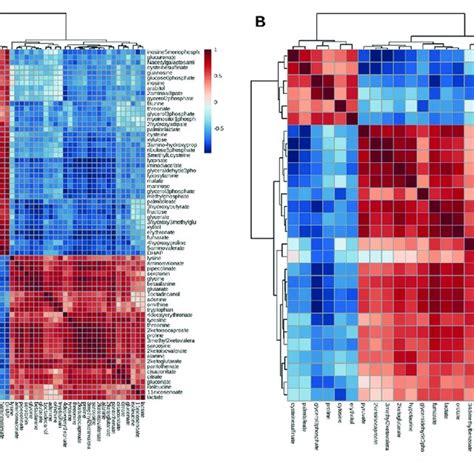 Pearson Correlation Analysis Plot Of The Differential Metabolites