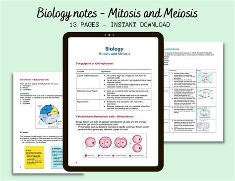 Biology Notes MITOSIS AND MEIOSIS Etsy