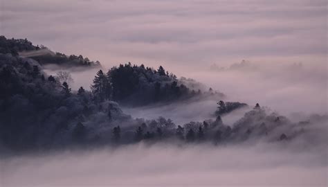 Fog Winter Landscape Free Photo On Pixabay Pixabay