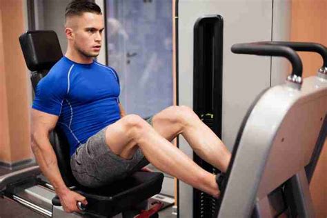 Seated Leg Press Benefits Muscles Worked Best Machines