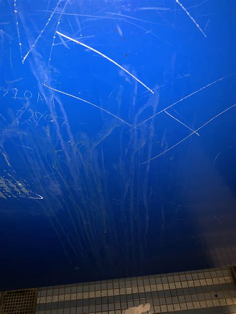 My college’s cruising spot : r/cumstained