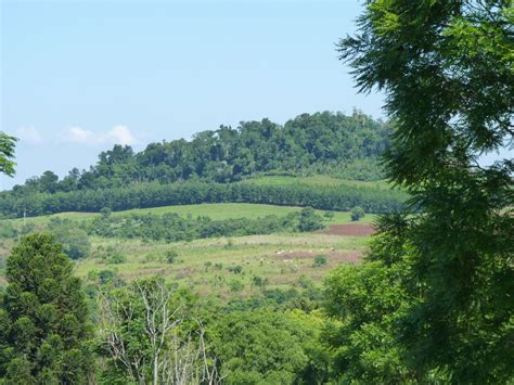 Foto: Vistas de El Soberbio. - El Soberbio (Misiones), Argentina