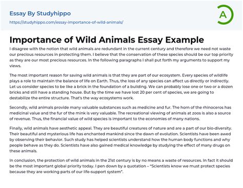 Importance Of Wild Animals Essay Example