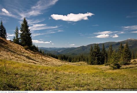 The beauty of the Carpathian Mountains