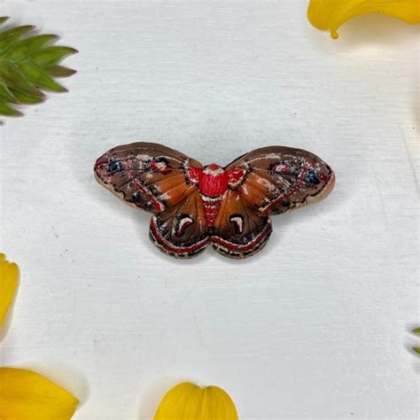 Cecropia Etsy