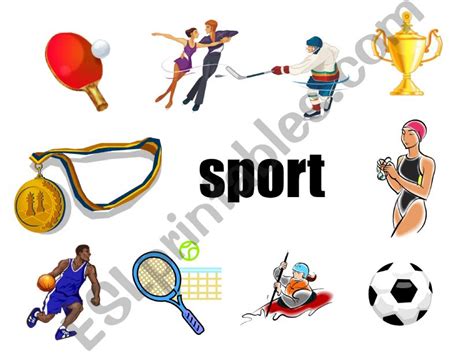 Esl English Powerpoints Sport