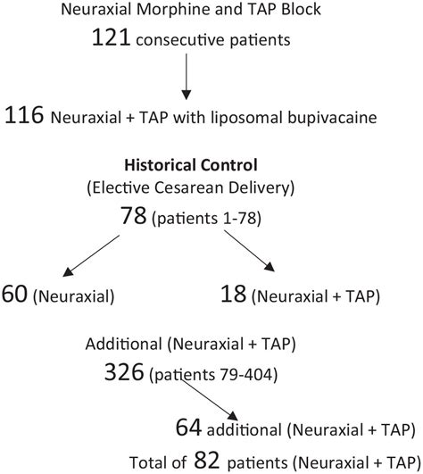 The Use Of Bilateral Transversus Abdominis Plane Blocks With Liposomal